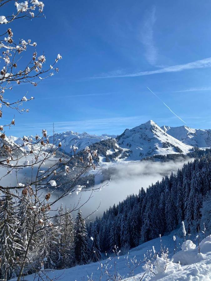 Hotel Rhodos Morzine Exterior photo